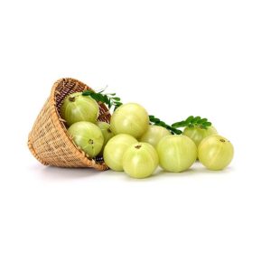 উপাদান ১০