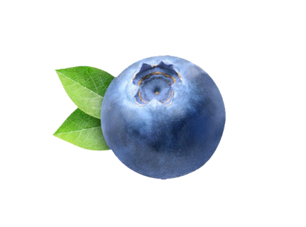 অ্যান্টিঅক্সিডেন্ট